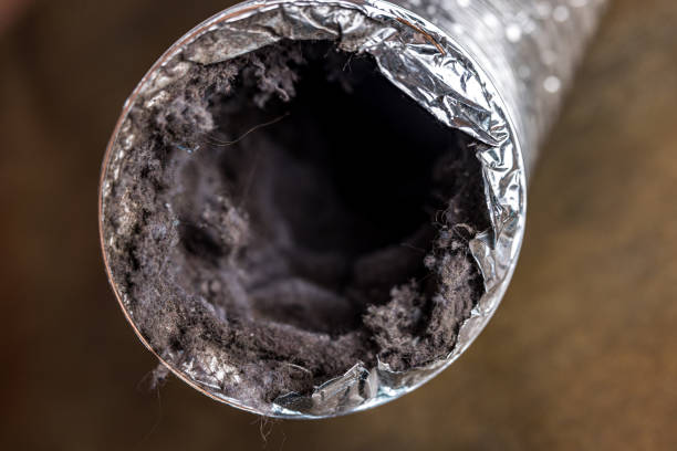 Best Best Air Duct Cleaning Company  in Rock Creek, AL
