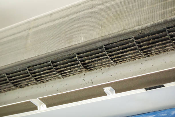 Best Air Duct Cleaning Near Me  in Rock Creek, AL